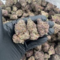 Cherry Runtz Weed