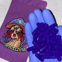 Magic Mushroom Micro Capsules